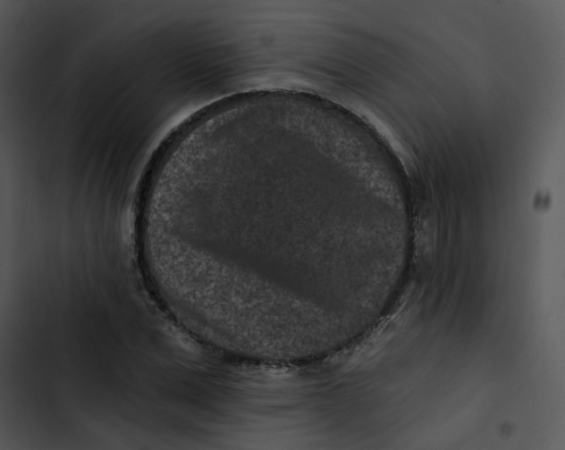 X0000102830975200809081151