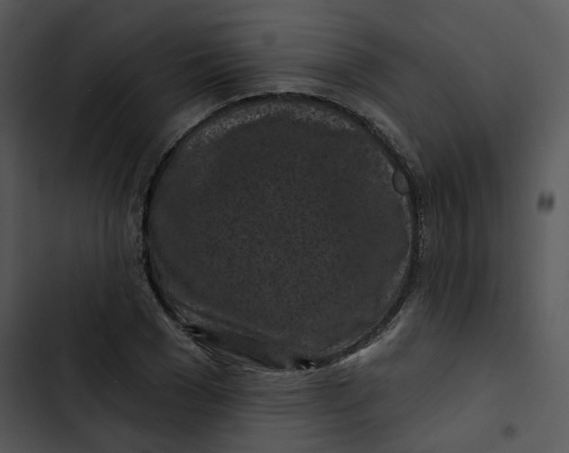 X0000102830977200809081151