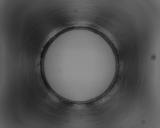 X0000102830978200809081151