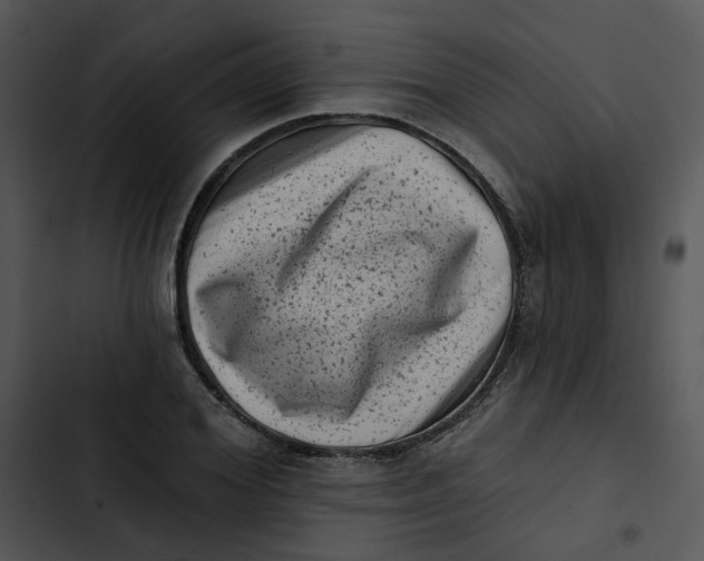 X0000102830980200809081151