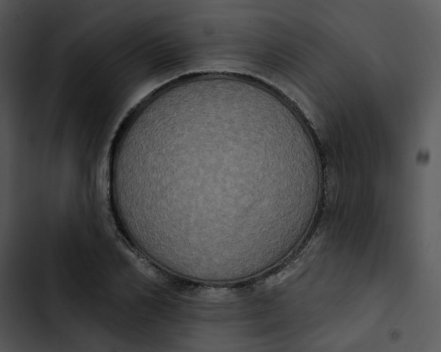 X0000102830982200809081151