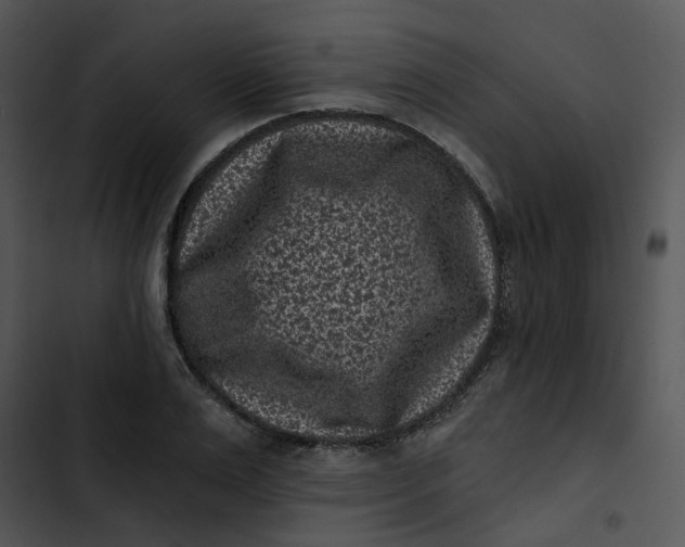 X0000102830983200809081151