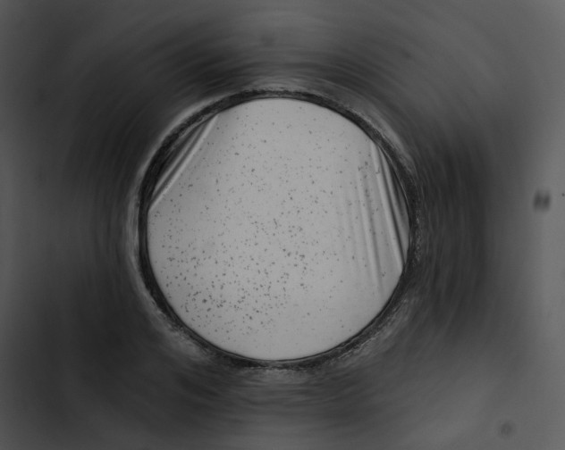 X0000102830984200809081151