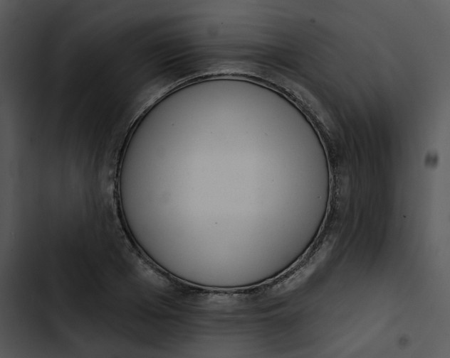 X0000102830985200809081151