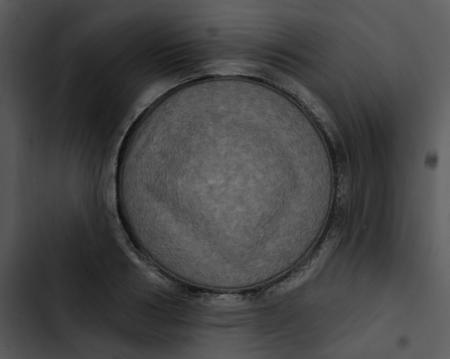 X0000102830986200809081151