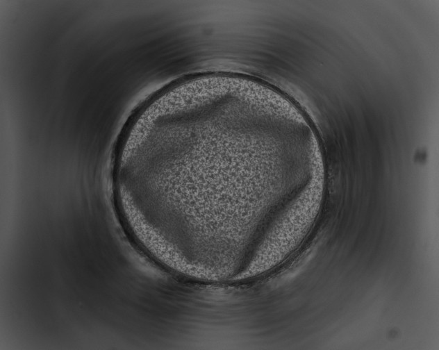 X0000102830987200809081151