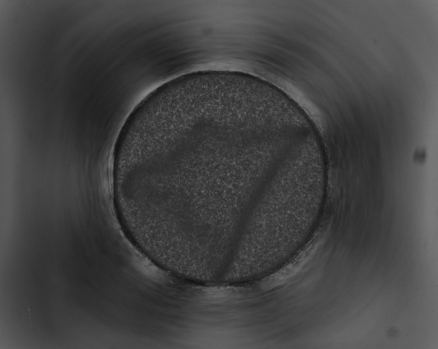 X0000102830988200809081151