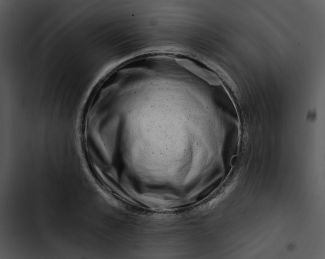 X0000102830989200809081151