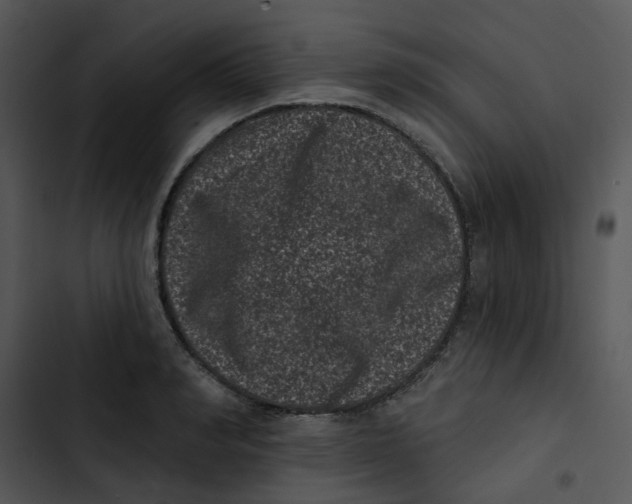 X0000102830990200809081151