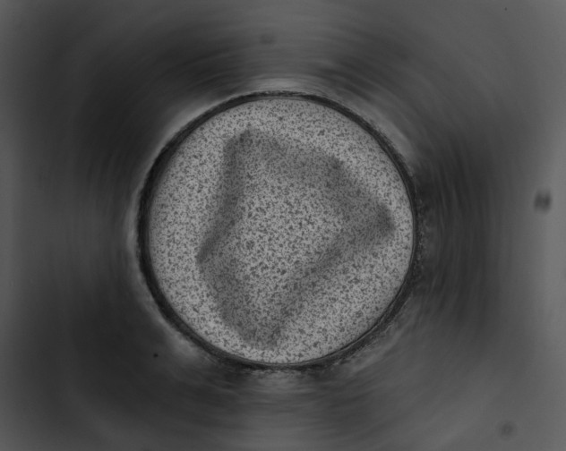 X0000102830991200809081151