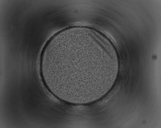 X0000102830992200809081151