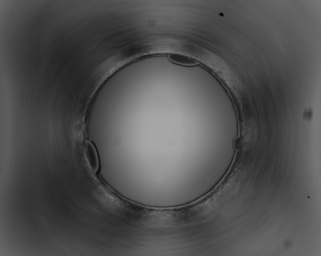 X0000102830993200809081151