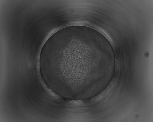 X0000102830994200809081151