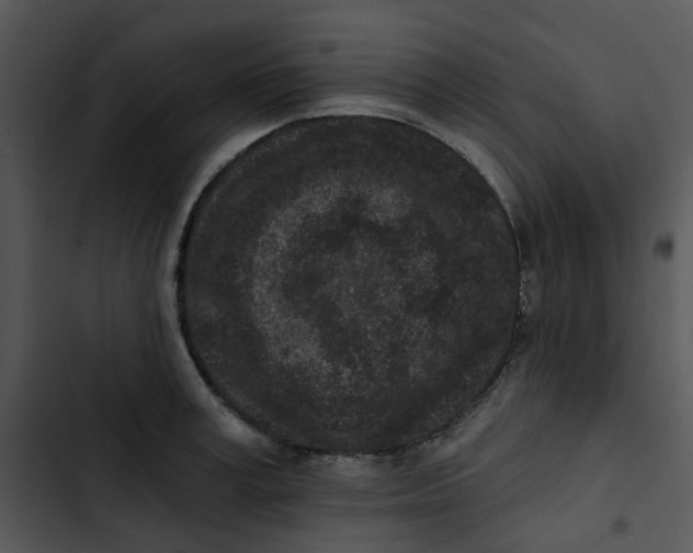 X0000102830995200809081151