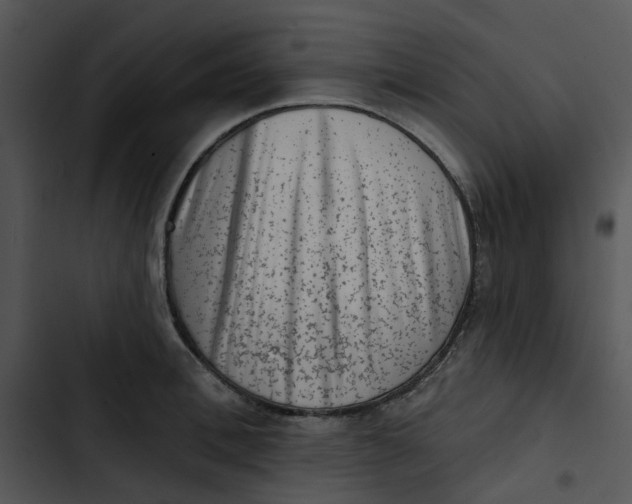 X0000102830996200809081151