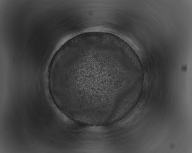 X0000102830998200809081151