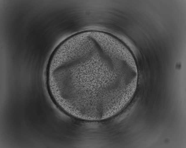 X0000102830999200809081151