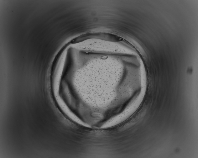 X0000102831000200809081150