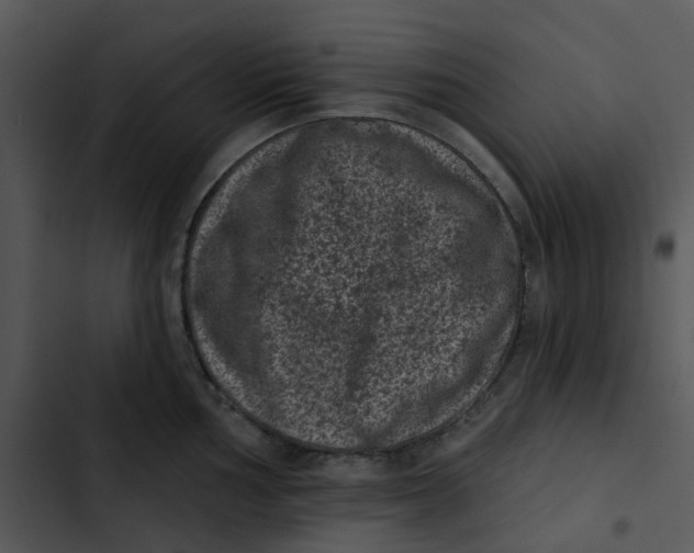 X0000102831002200809081150