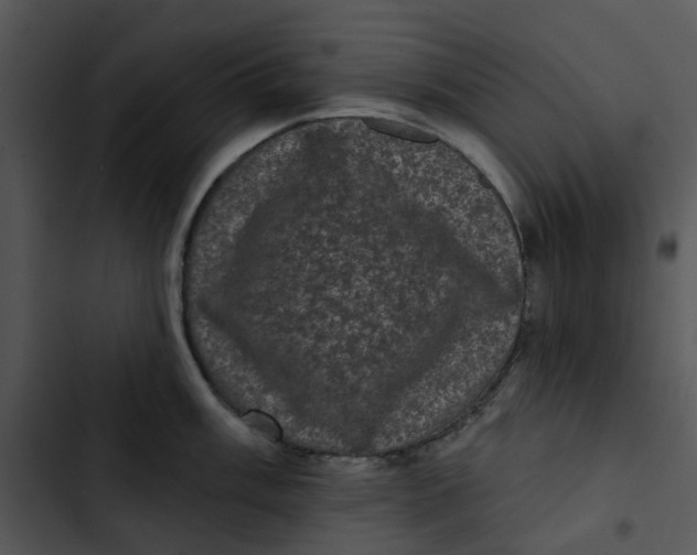 X0000102831003200809081150