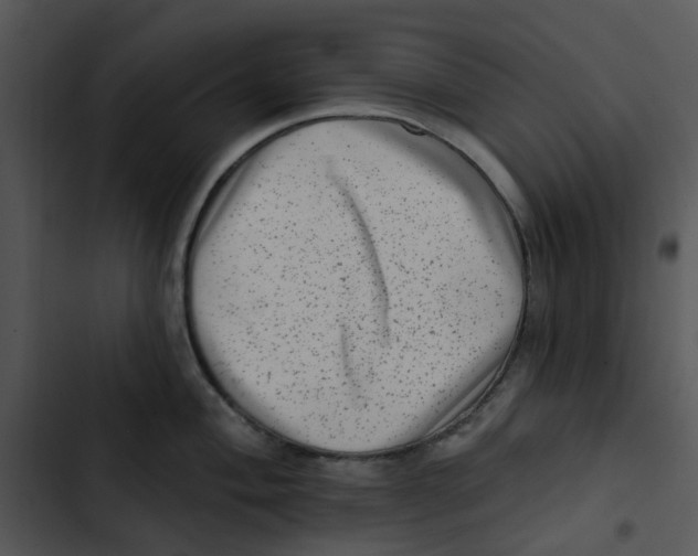 X0000102831004200809081150