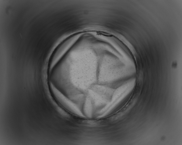 X0000102831005200809081150