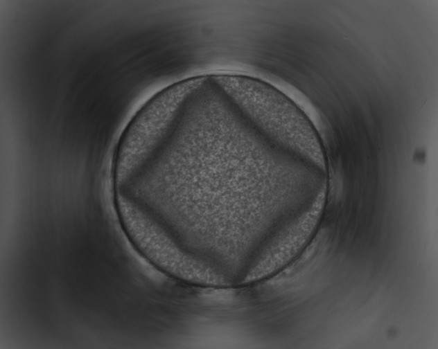 X0000102831006200809081150