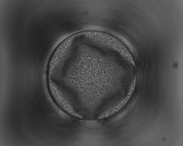 X0000102831007200809081150