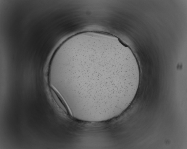 X0000102831008200809081150