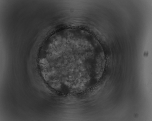 X0000102831009200809081150