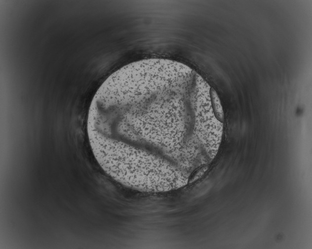 X0000102831010200809081150