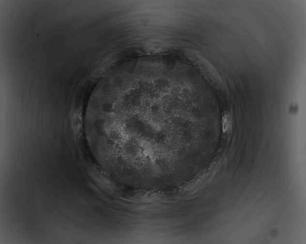 X0000102831011200809081150