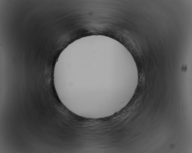 X0000102831012200809081150