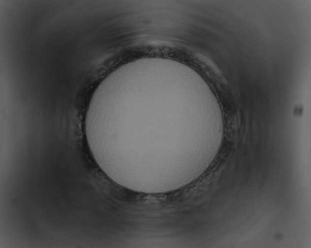 X0000102831013200809081150