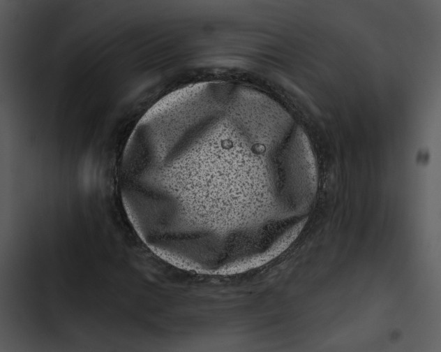 X0000102831014200809081150