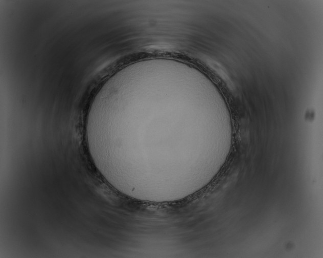 X0000102831015200809081150