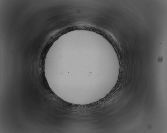 X0000102831016200809081150