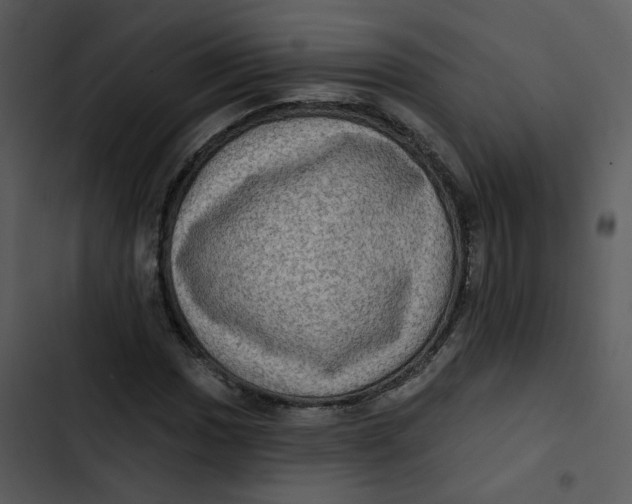 X0000102831017200809081150