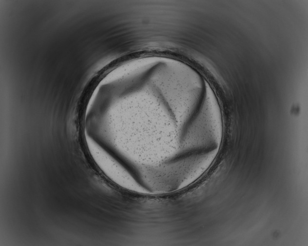 X0000102831018200809081150