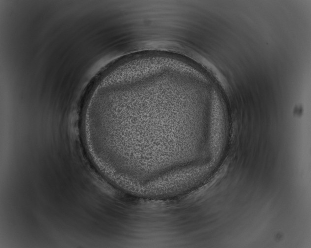 X0000102831019200809081150