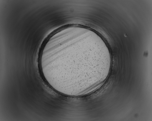 X0000102831020200809081150