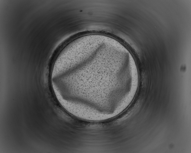 X0000102831021200809081150