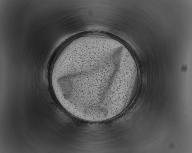 X0000102831022200809081150