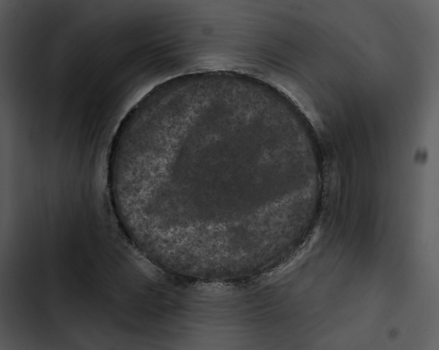 X0000102831023200809081150