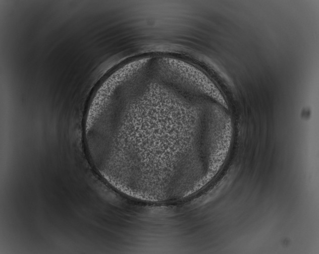 X0000102831025200809081150