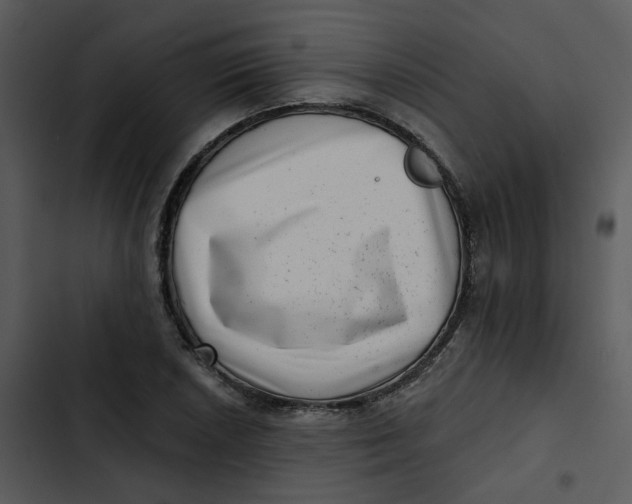 X0000102831026200809081150