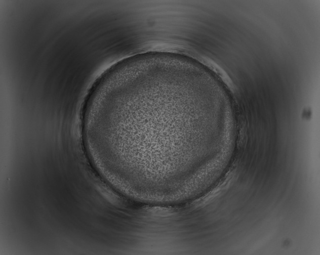 X0000102831027200809081150