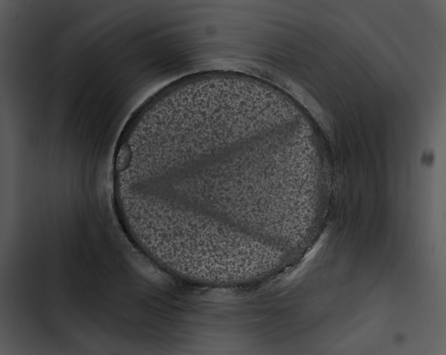 X0000102831028200809081150