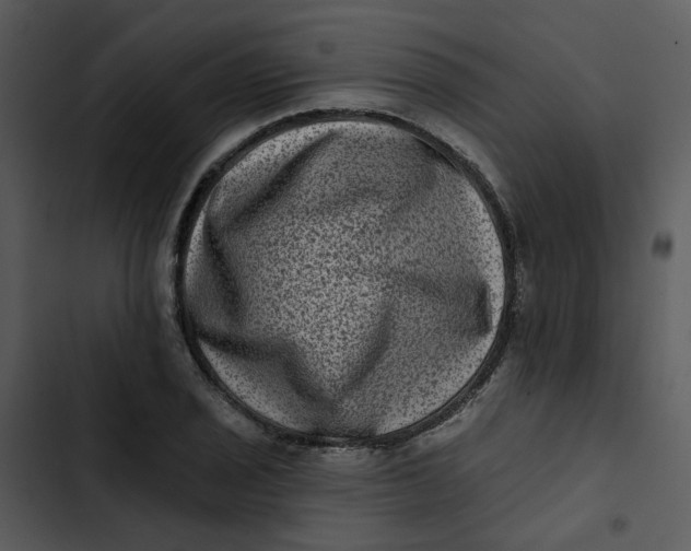 X0000102831029200809081150