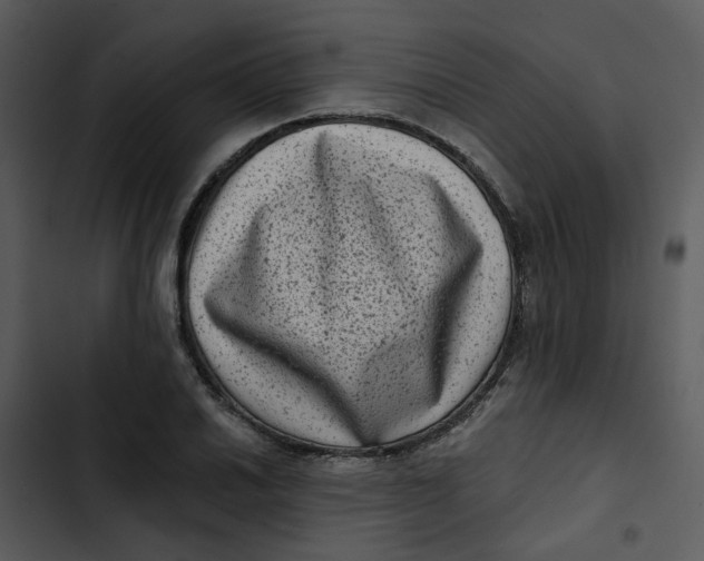 X0000102831030200809081150